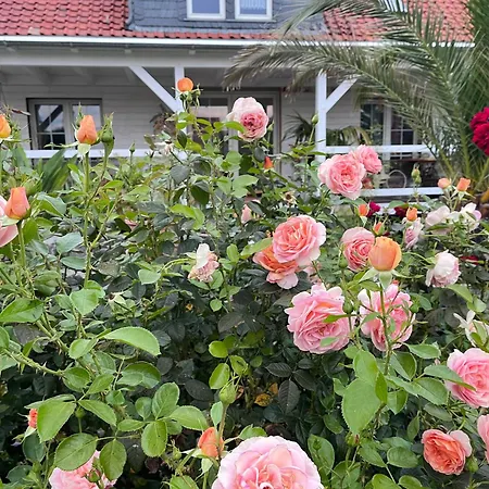 Apartmán Spindler Hof Harz *