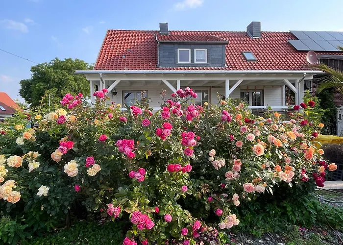 Spindler Hof Harz Apartment Langeln (Saxony-Anhalt)